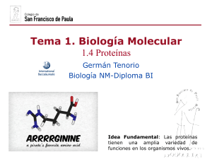 Biolog&iacute;a Molecular: Lecci&oacute;n de Prote&iacute;nas Diploma IB