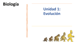 Evoluci&oacute;n: F&oacute;siles como prueba de la evoluci&oacute;n