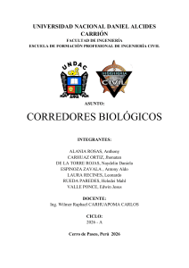 Corredores Biol&oacute;gicos: Importancia para la Conservaci&oacute;n de la Biodiversidad