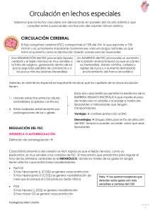 Circulaci&oacute;n en lechos especiales: Fisiolog&iacute;a Cerebral y Card&iacute;aca