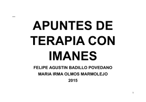 Apuntes de Terapia con Imanes: Manual Completo