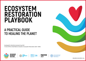 Ecosystem Restoration Playbook: Practical Guide