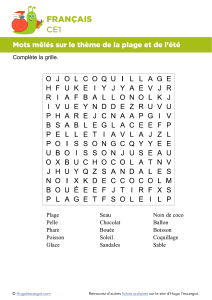 Mots m&ecirc;l&eacute;s plage &eacute;t&eacute; CE1 exercice fran&ccedil;ais
