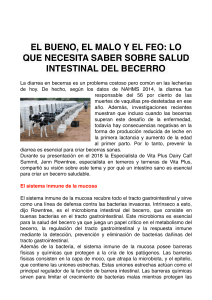 Salud Intestinal del Becerro: El Bueno, el Malo y el Feo