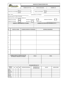 Formulario ANALISIS DE TRABAJO SEGURO (ATS) - An&aacute;lisis de Seguridad