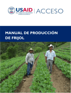 Manual de Producci&oacute;n de Frijol - Gu&iacute;a Completa para Agricultores
