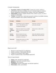 Gu&iacute;a de Seguridad y Salud en el Trabajo (SST)