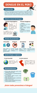 Dengue en el Per&uacute;: Prevenci&oacute;n y Epidemiolog&iacute;a