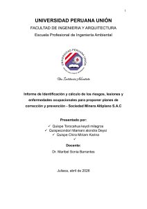 Informe de riesgos ocupacionales para Sociedad Minera Altiplano