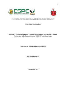 Conformaci&oacute;n de Brigadas y Protocolos de Actuaci&oacute;n