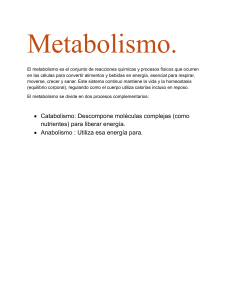 Metabolismo: Definici&oacute;n y Procesos (Catabolismo y Anabolismo)