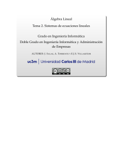 &Aacute;lgebra Lineal: Sistemas de Ecuaciones Lineales - Tema 2