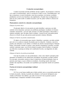 Evaluaci&oacute;n neuropsicol&oacute;gica: enfoques y pruebas