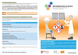 Guia de Controlo de Risco Qu&iacute;mico: Implementa&ccedil;&atilde;o do REACH