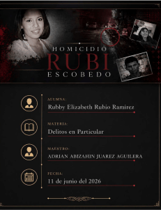 Ensayo sobre el caso Rub&iacute; Frayre: errores en el sistema penal acusatorio