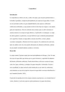 Carpicultura: Gu&iacute;a Completa sobre la Cr&iacute;a de Carpas