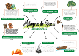 Milagros de Jes&uacute;s sobre la naturaleza
