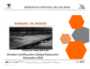 Gu&iacute;a T&eacute;cnica de Banqueo de &Aacute;nodos - CVG Venalum