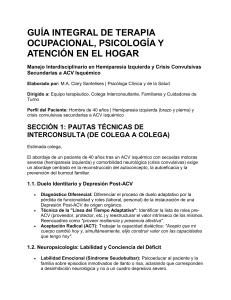 Gu&iacute;a Integral de Terapia Ocupacional y Psicolog&iacute;a para Hemiparesia Izquierda Post-ACV