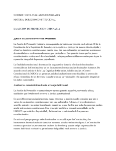 Acci&oacute;n de Protecci&oacute;n Ordinaria - Derecho Constitucional