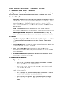 Patolog&iacute;as en Edificaciones I: Cimentaciones y Humedades