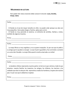 Mejorando mi lectura: Ejercicios de lectura para 1&deg; b&aacute;sico