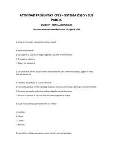 Quiz Sistema &Oacute;seo 7&deg; Grado ICFES