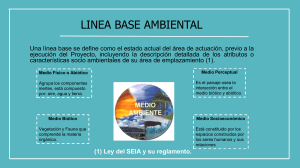 L&iacute;nea Base Ambiental: Gu&iacute;a Completa y Definiciones