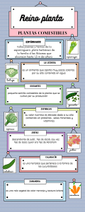 Reino planta: Plantas comestibles, medicinales y ornamentales