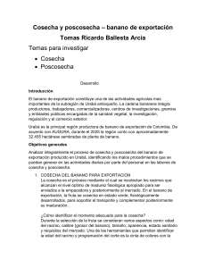 Cosecha y poscosecha del banano de exportaci&oacute;n