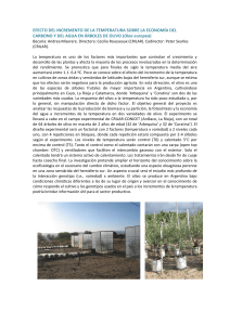 Efecto de la temperatura en el olivo: estudio de biomasa y fotos&iacute;ntesis