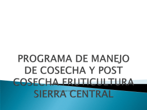 Programa de Manejo Fruticultura Sierra Central