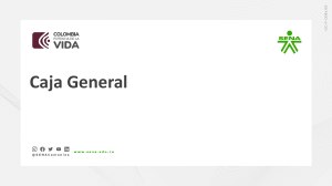 Caja General: Gu&iacute;a de Gesti&oacute;n de Efectivo