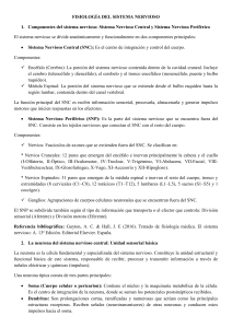 Fisiolog&iacute;a del Sistema Nervioso: Componentes y Funciones
