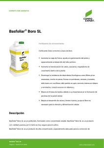 Basfoliar&reg; Boro SL: Fertilizante foliar de boro
