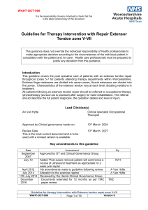 Extensor Tendon Repair Zones V-VII Therapy Guideline