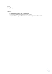 Biolog&iacute;a: Trabajo Pr&aacute;ctico sobre Biomol&eacute;culas