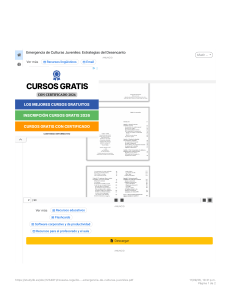 Emergencia de Culturas Juveniles: Estrategias del Desencanto