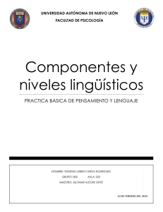 Componentes y niveles ling&uuml;&iacute;sticos: Pr&aacute;ctica de Psicolog&iacute;a