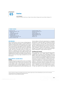 Swine Anesthesia & Analgesia Chapter