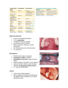 Tumores Benignos de la Cabeza y Cuello: Adenoma Pleomorfo, Hemangioma, Lipoma
