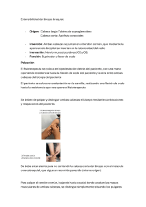 Extensibilidad del b&iacute;ceps braquial: palpaci&oacute;n y evaluaci&oacute;n