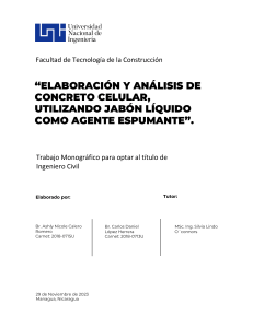 Elaboraci&oacute;n y An&aacute;lisis de Concreto Celular con Jab&oacute;n L&iacute;quido