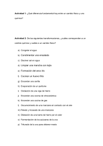 Actividades de Cambios F&iacute;sicos y Qu&iacute;micos
