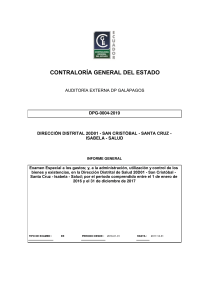 Informe de Auditor&iacute;a Externa - DPG-0004-2019